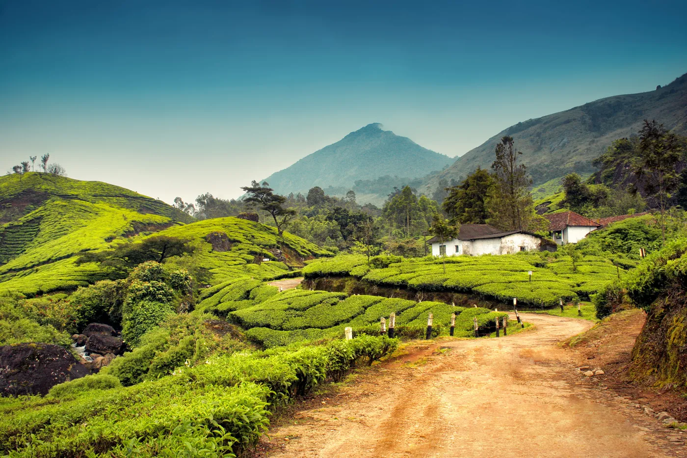Munnar Dawn Trek — Kerala