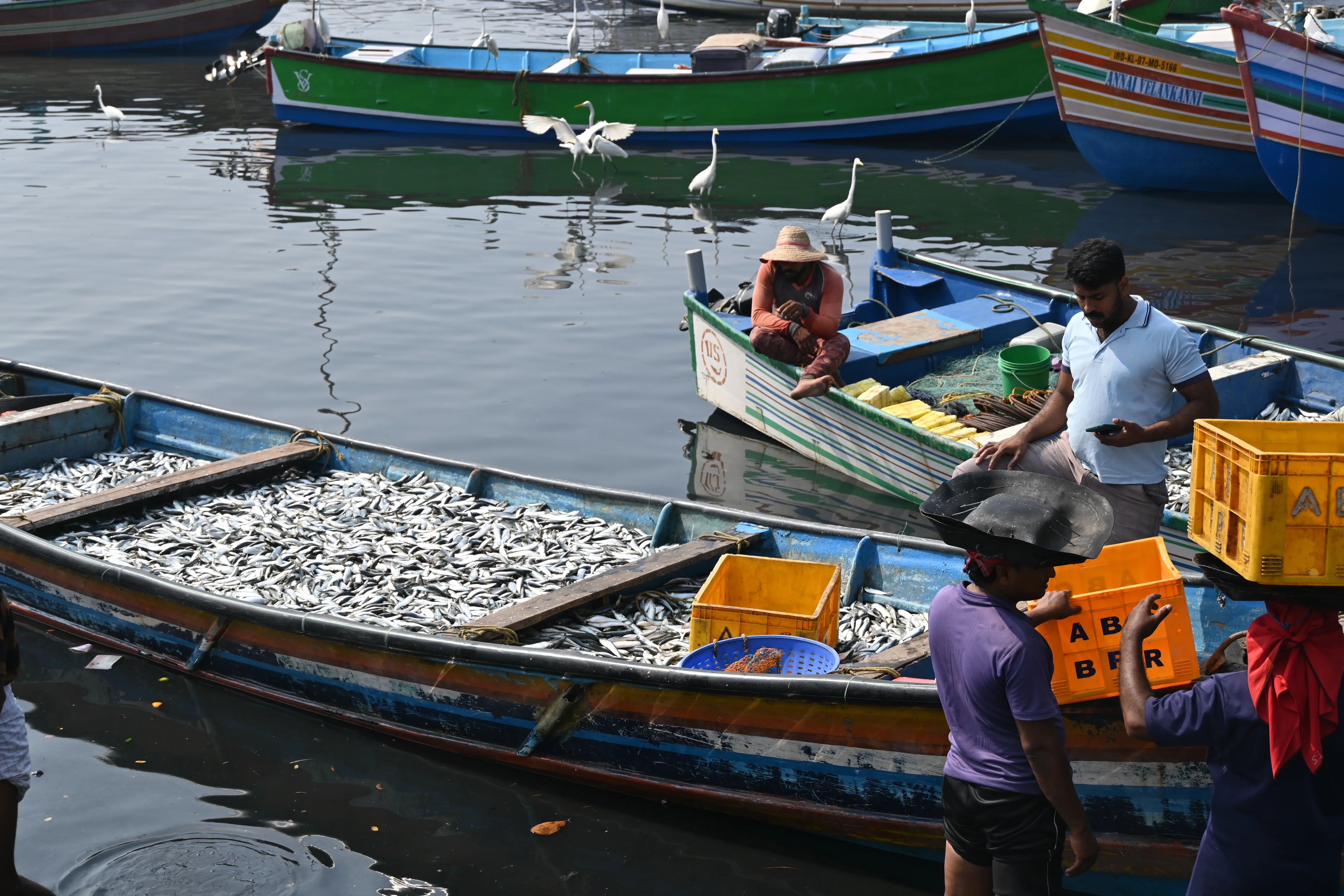 Fishing with Local Fishermen — Kerala