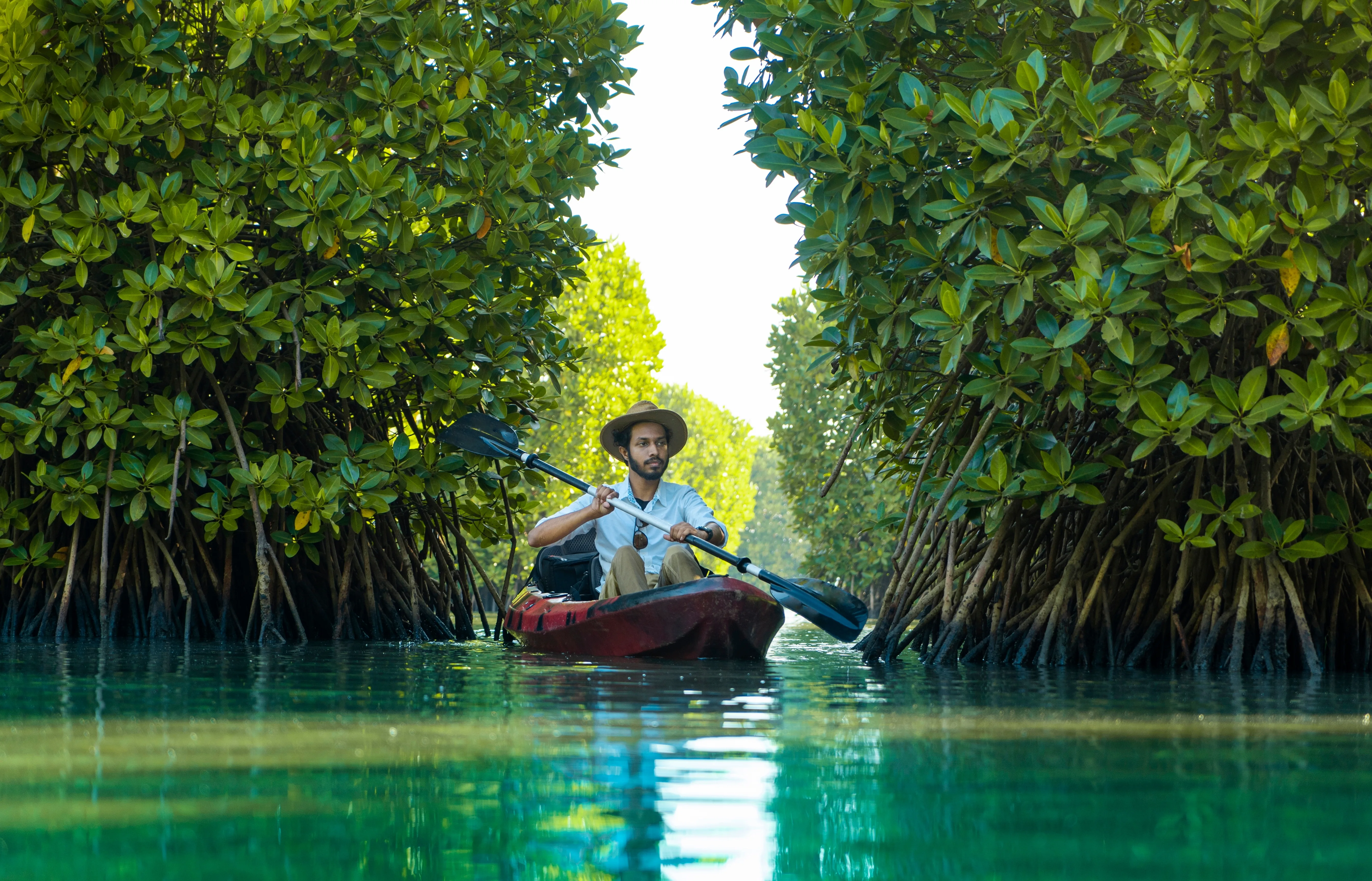 Kayaking — Backwaters — Kerala