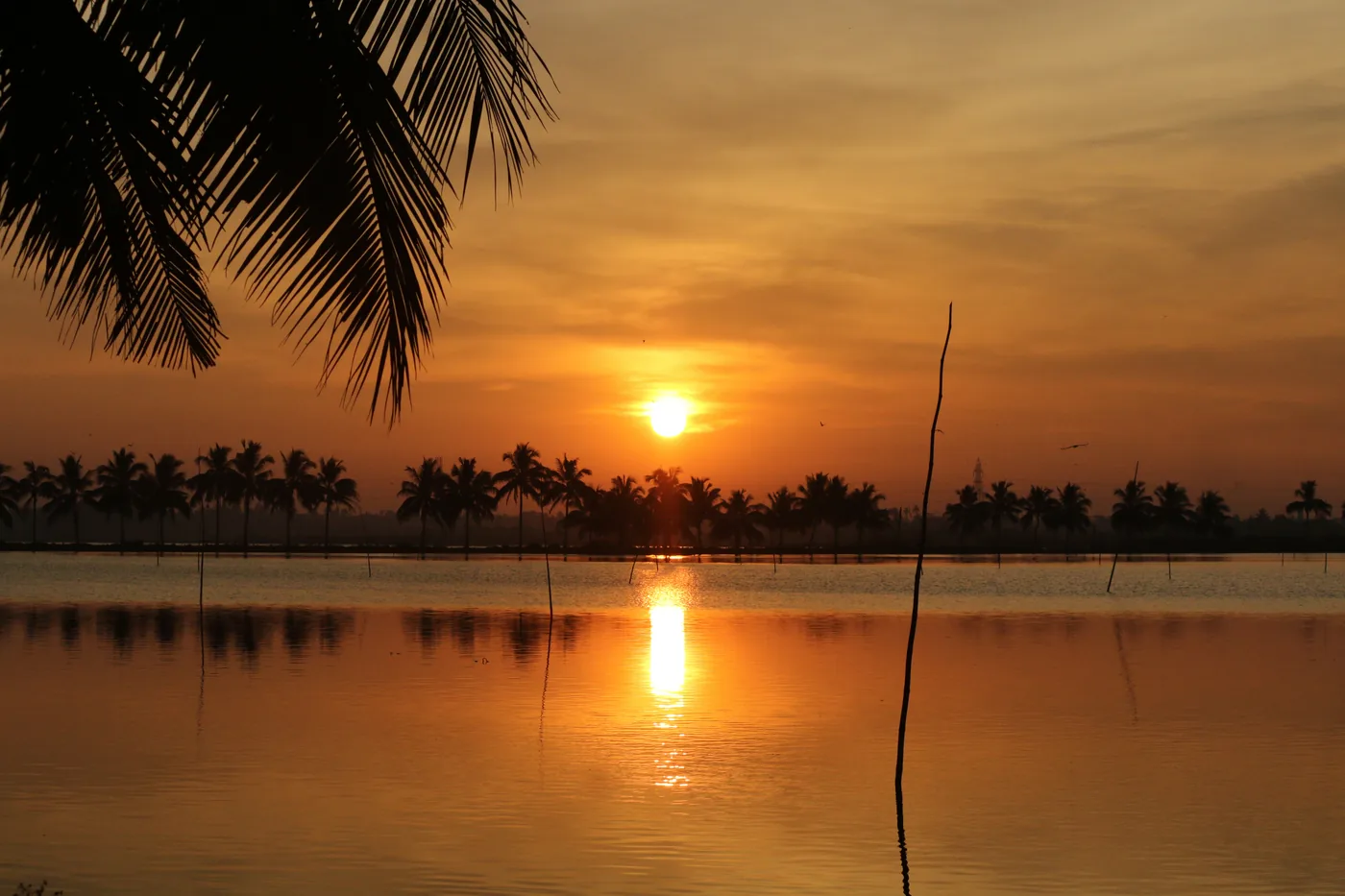Sunrise on the Backwaters — Kerala