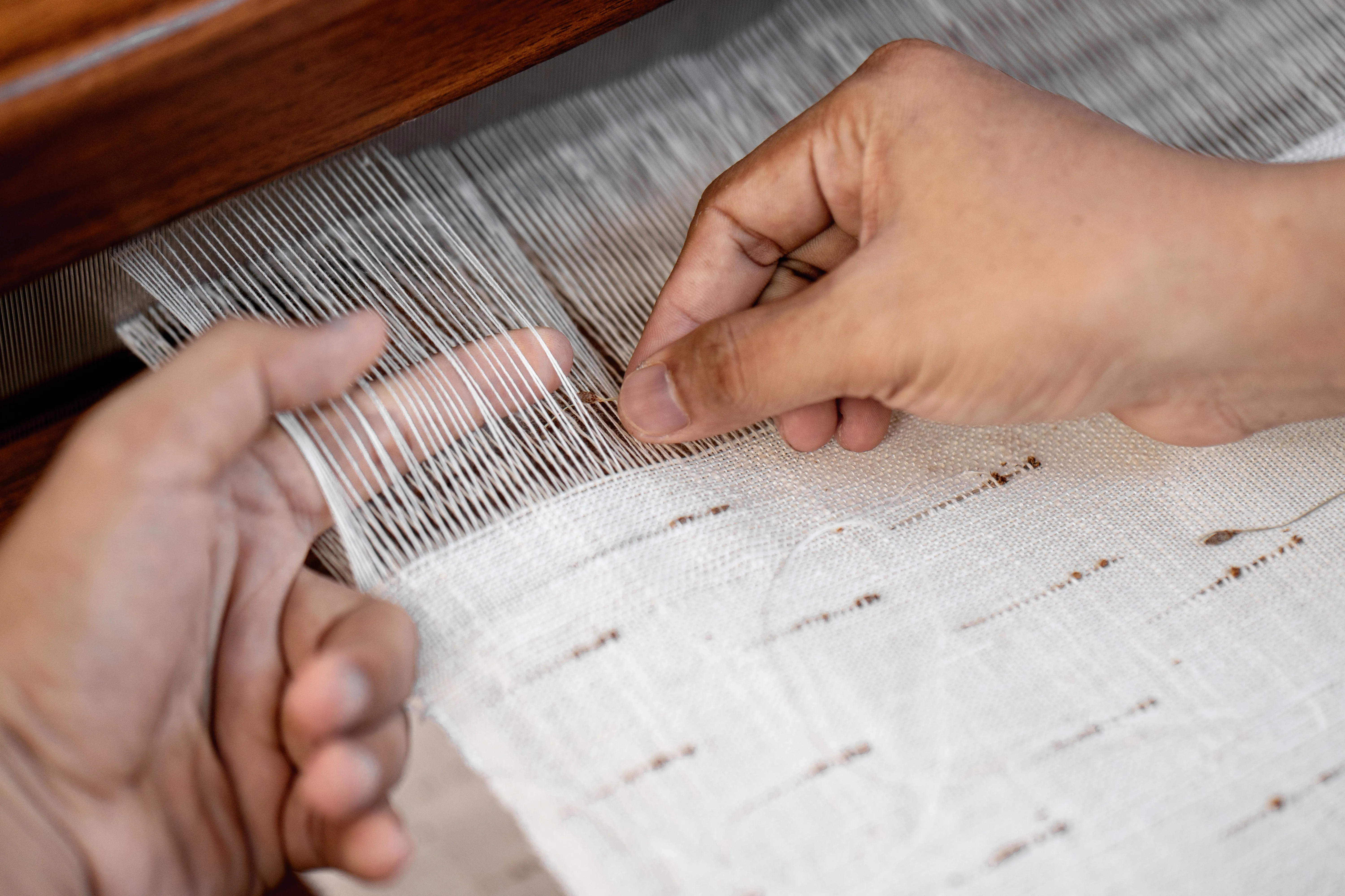 Handloom Weaving Visit — Kasavu Sari — Kerala