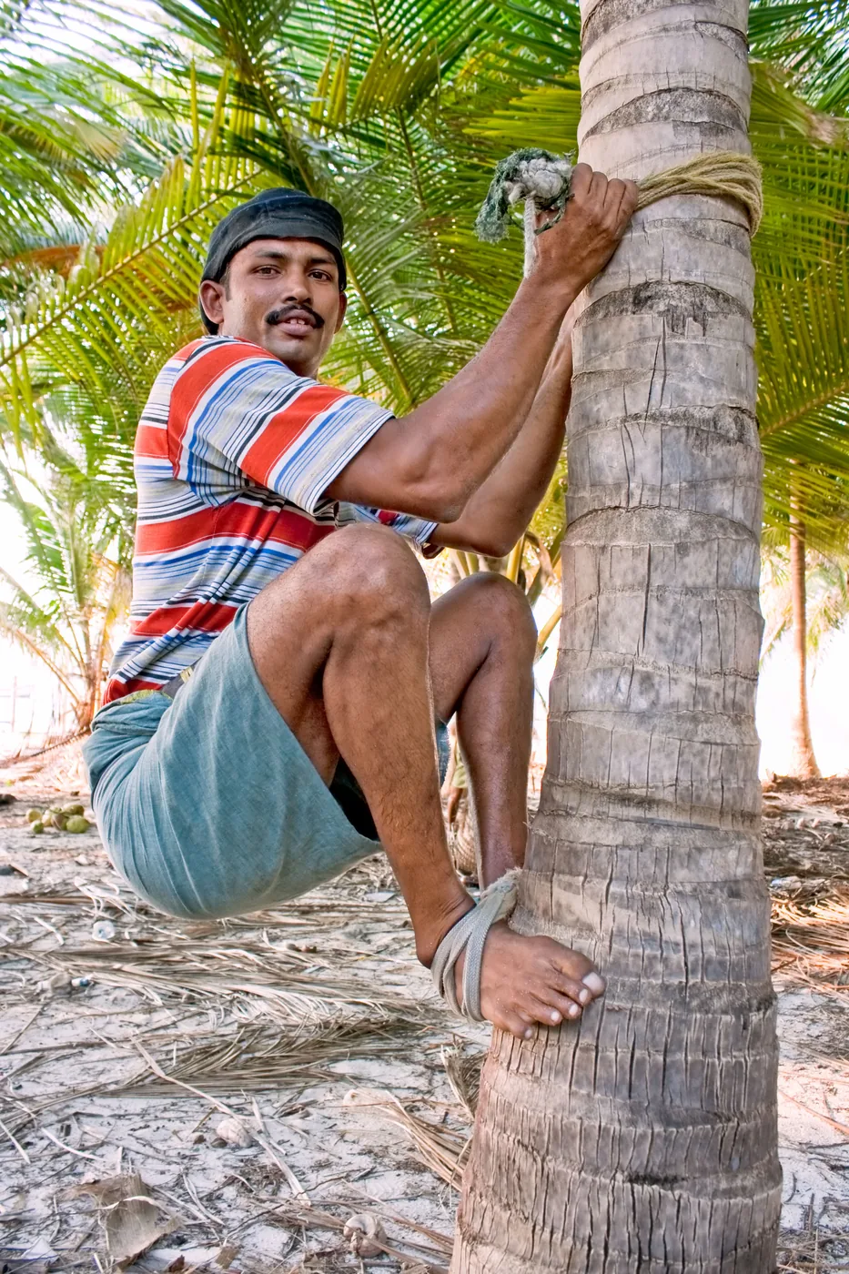 Coconut Farm & Toddy Tapping — Kerala