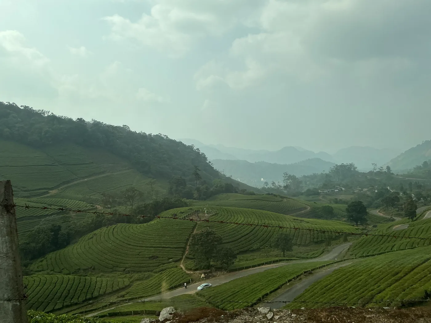 Tea Factory Visit & Plucking — Kerala