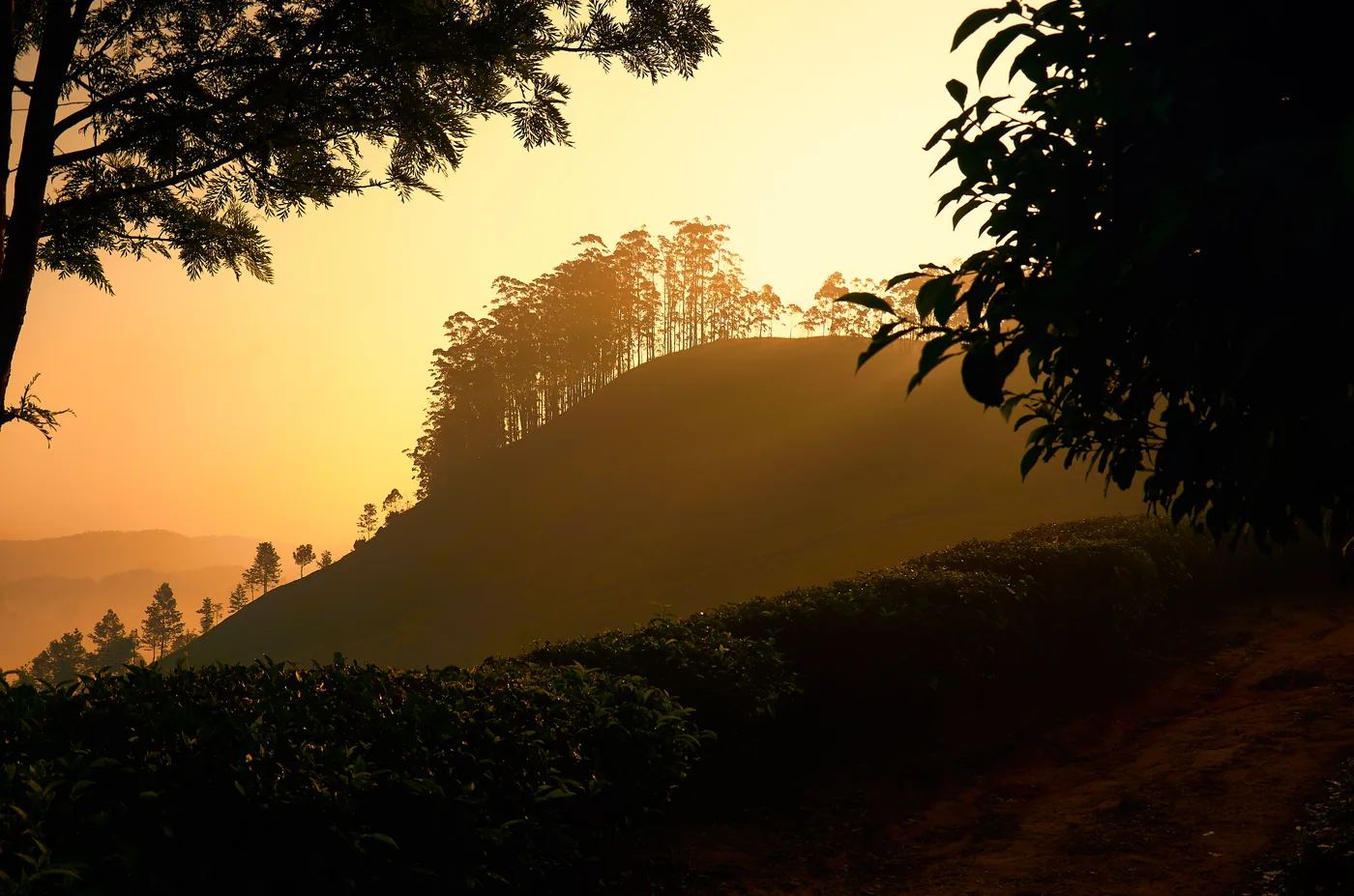 Tea Estate Breakfast — Munnar — Kerala