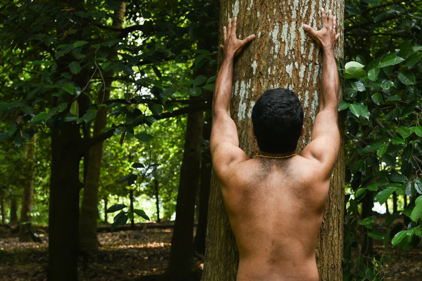 Forest Walk with a Tribal Guide — Kerala