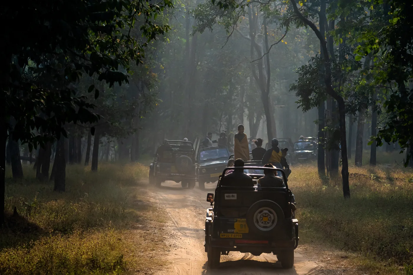 Night Safari — Thekkady — Kerala