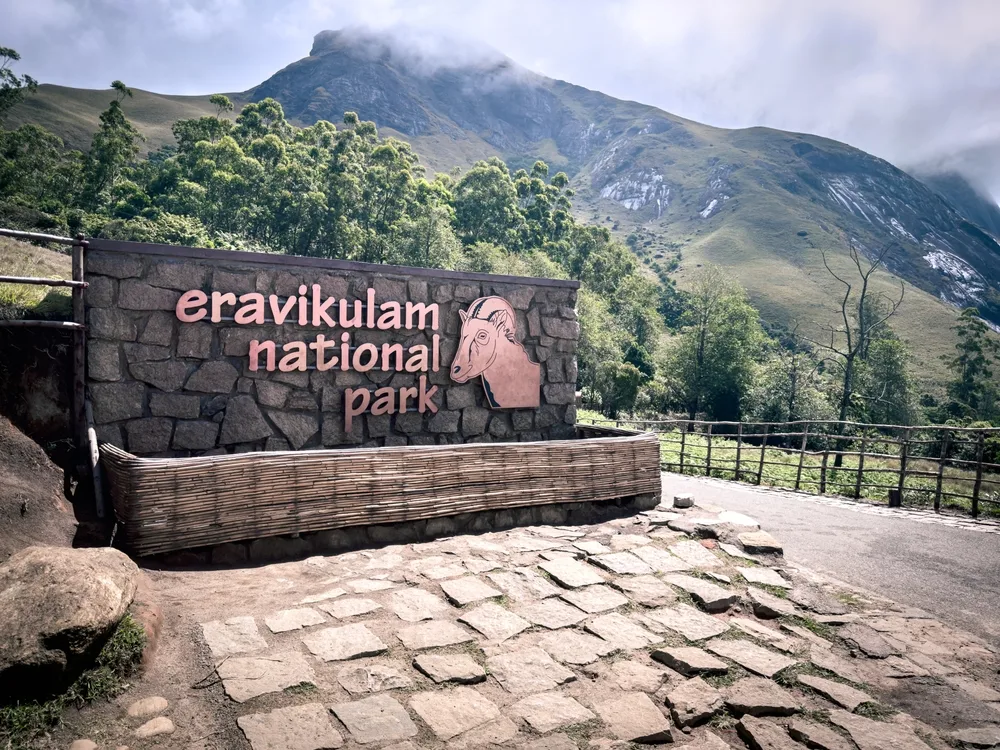 Silent Valley / Eravikulam Walk — Kerala