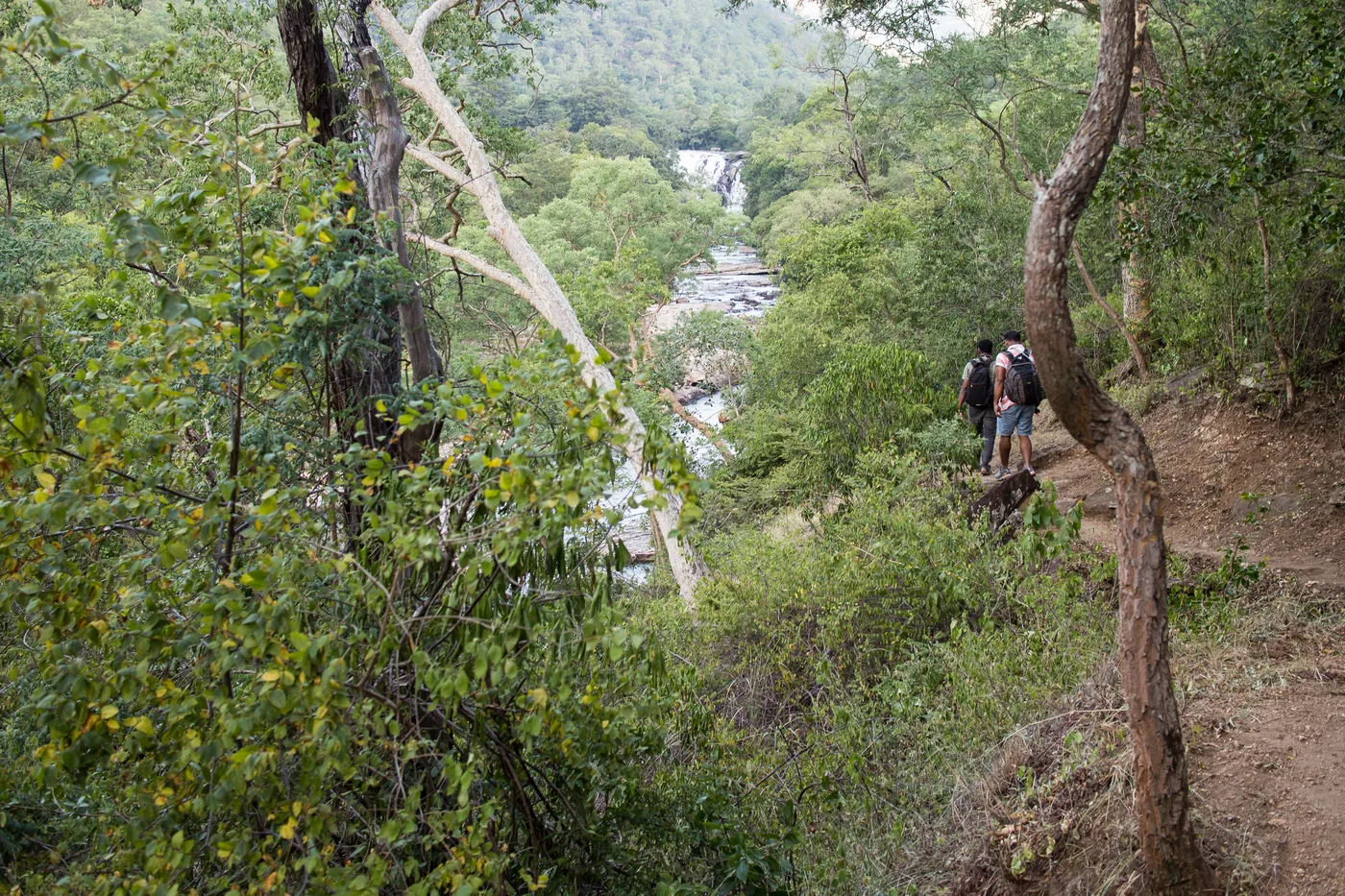 Waterfall Walk — Munnar — Kerala