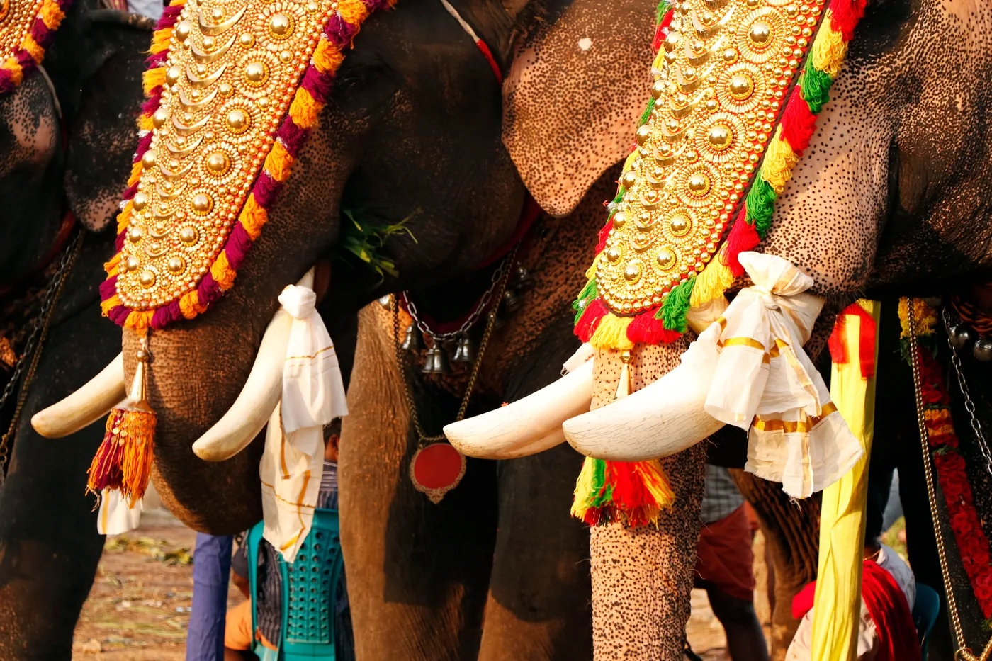 Thrissur Pooram — Festival Access — Kerala
