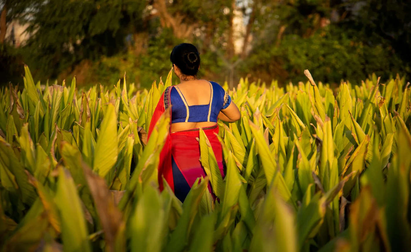 Herbal Garden Walk — Medicinal Plants — Kerala