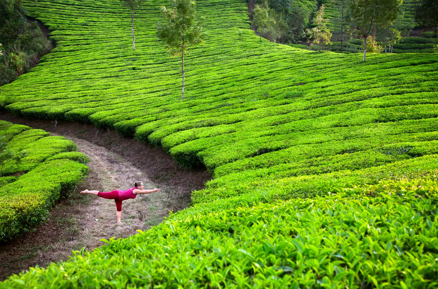 Yoga at Sunrise — Plantation — Kerala