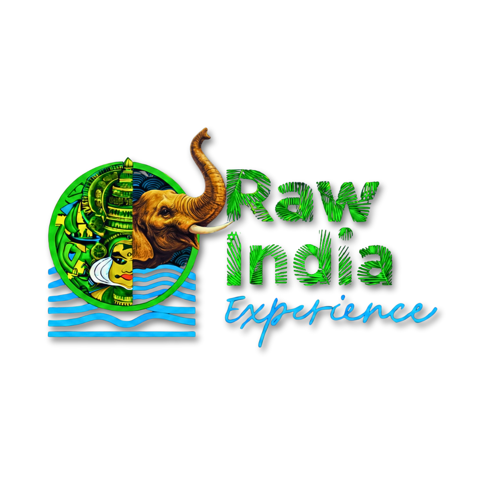 Raw India Experience